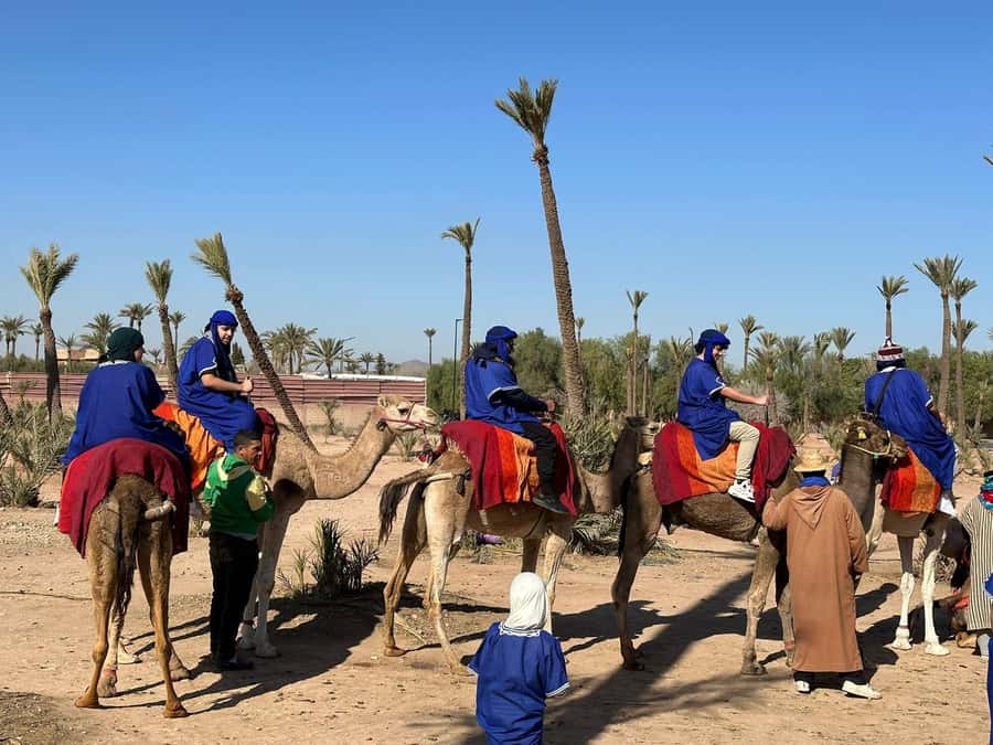 Marrakech Palmeraie Camel Ride Adventure - Village stops and mint tea: the human side of the ride