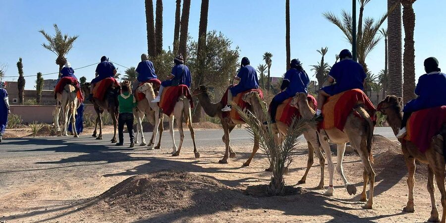 Marrakech Palmeraie Camel Ride Adventure - Is $26 worth it? Value check for a 2-hour camel ride