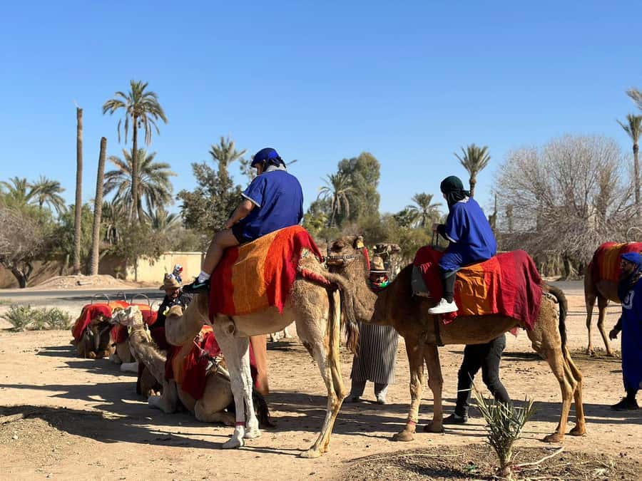 Marrakech Palmeraie Camel Ride Adventure - What to bring for a comfortable camel ride