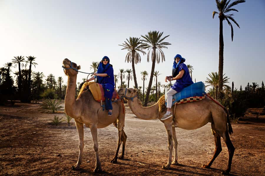 Marrakech Palmeraie: Camel Ride at Sunset - Key Highlights to Know Before You Go
