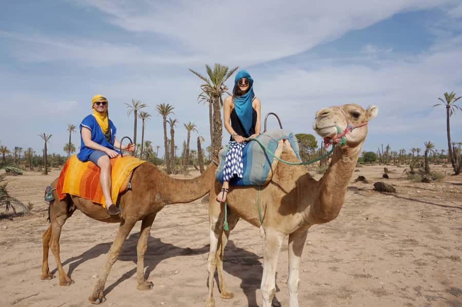 Marrakech Palmeraie: Camel Ride at Sunset - The End of the Ride: Tea, Extras, and the Return to Your Hotel