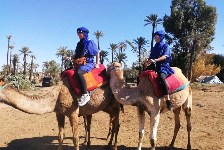 Marrakech Palmeraie: Camel Ride & Quad Bike Experience - The camel ride in the palm oasis, how it feels and what you’ll do