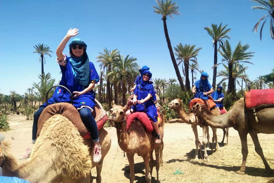 Marrakech Palmeraie: Camel Ride & Quad Bike Experience - Getting to the Palmeraie, pickup timing, and what can throw it off