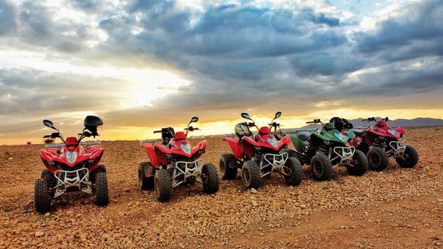 Marrakech: Palmeraie Guided Quad Biking Tour with Tea - Key Points at a Glance