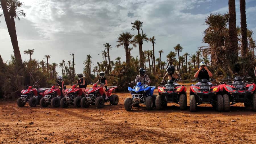 Marrakech: Palmeraie Guided Quad Biking Tour with Tea - Who Should Book This Tour, and Who Might Skip It