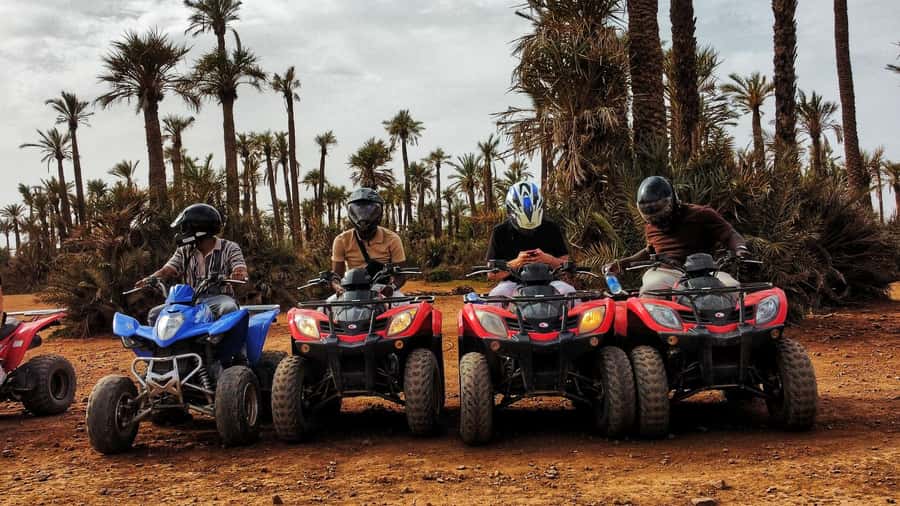 Marrakech: Palmeraie Guided Quad Biking Tour with Tea - Photos, Palm-Tree Stops, and Optional Drone Footage