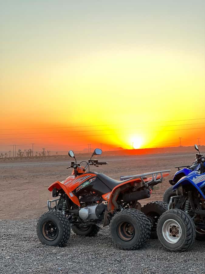 Marrakech: Palmeraie Private Quad Bike Experience - Mint tea at a local house: Morocco hospitality, with actual time to enjoy it