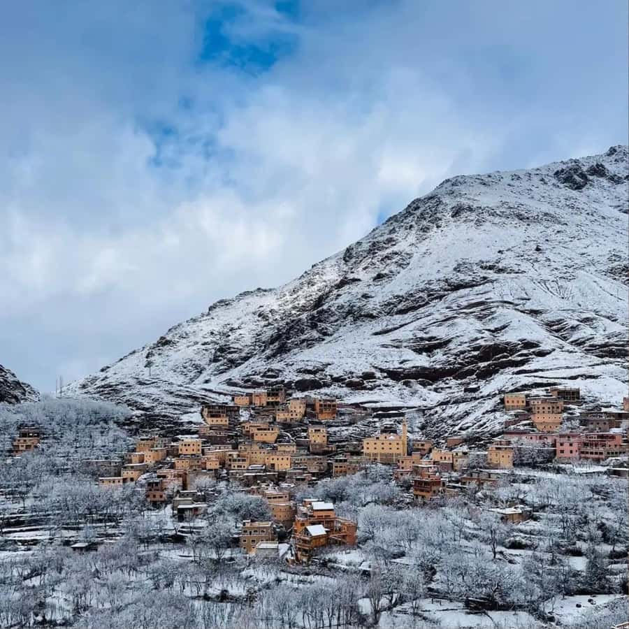 Marrakech: Paragliding, Camel Ride & Berber Villages Trip - Argan oil cooperative and Berber breakfast: the stop that adds meaning