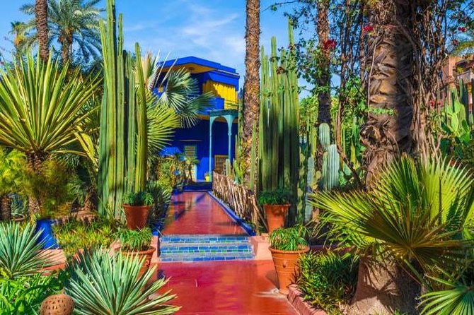 Marrakech: Private Guided Half-Day City Tour - How the private half-day format works (and why it’s a smart first pick)
