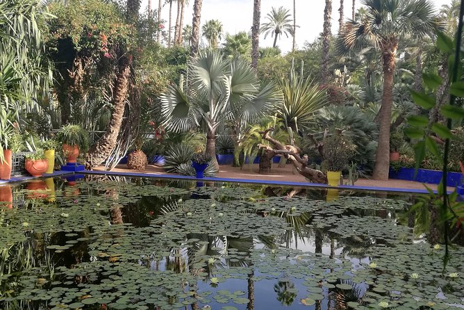 Marrakech: Private Guided Half-Day City Tour - Koutoubia Mosque and Agnaou Gate: quick sights with big meaning