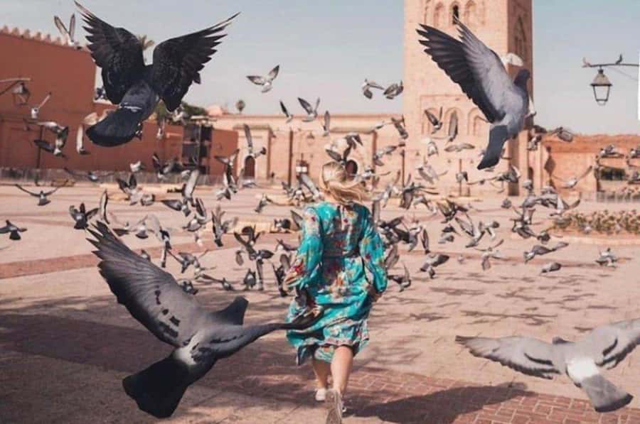 Marrakech: private Guided tour Of Vibrant Souks - Entering Marrakech’s offbeat flow, souks plus a secret garden