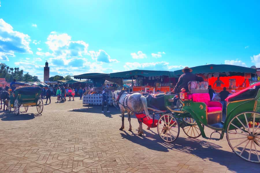 Marrakech: Private Half-Day City Highlights Tour - Why this 3.5-hour highlights tour makes sense in Marrakech