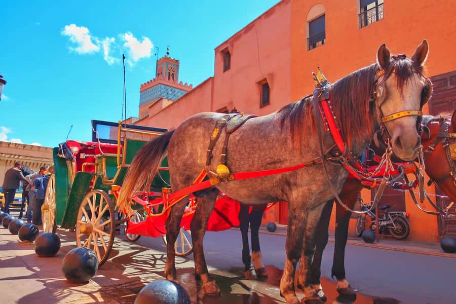 Marrakech: Private Half-Day City Highlights Tour - Bahia Palace, Moorish design you can actually spot