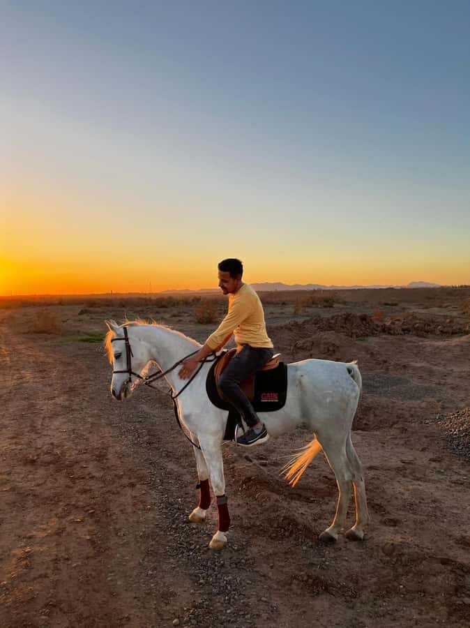 Marrakech: Private Horseback Tour in the Palm Grove with Tea - Key things to know before you go