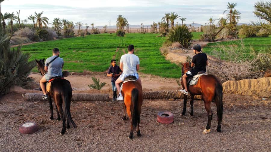 Marrakech: Private Horseback Tour in the Palm Grove with Tea - Why this Palmeraie horse ride feels like a reset