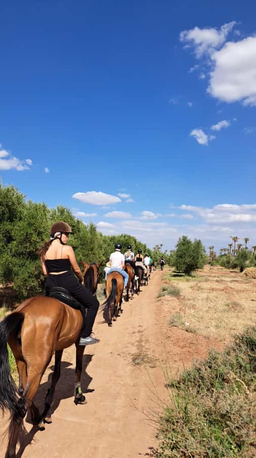 Marrakech: Private Horseback Tour in the Palm Grove with Tea - What happens when you meet the guide and your horse