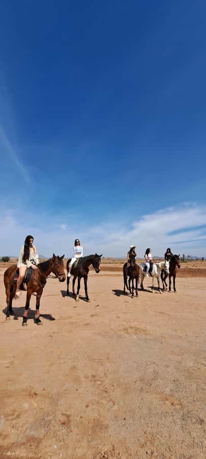 Marrakech: Private Horseback Tour in the Palm Grove with Tea - Horses and care: what you should look for on arrival