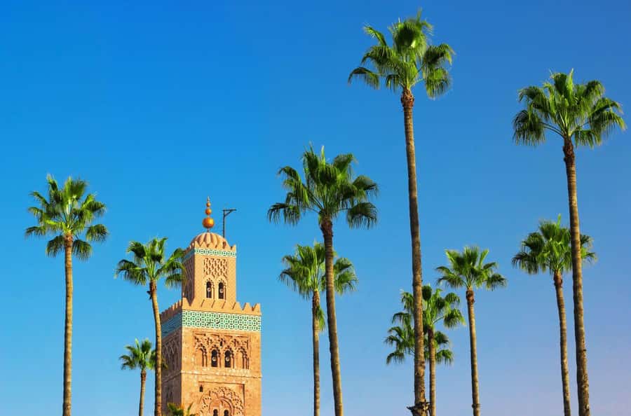 Marrakech Private Medina Tour: Bahia Palace & Ben Youssef - The souks walk to Bahia Palace, where you learn to read the streets