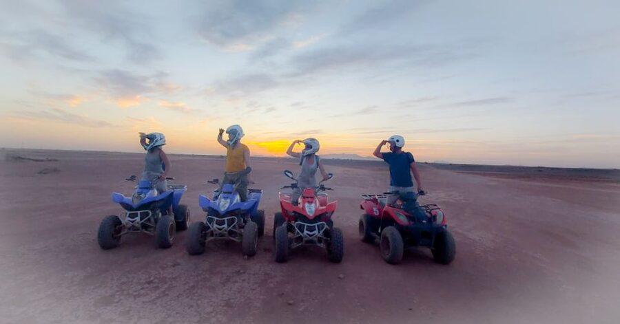 Marrakech: Private Palm Grove Camel and Quad Bike Ride - Key Points You’ll Actually Care About