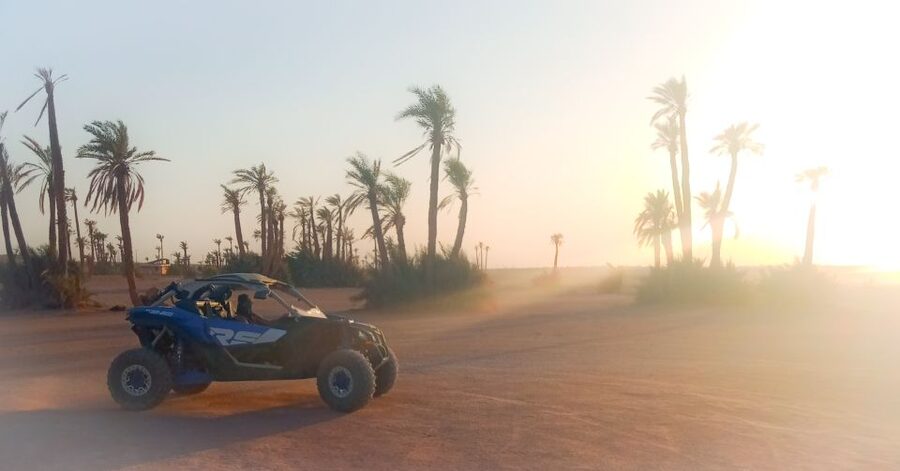 Marrakech: Private Palm Grove Camel and Quad Bike Ride - Tea Break in a Berber Home, and Why It Feels Real