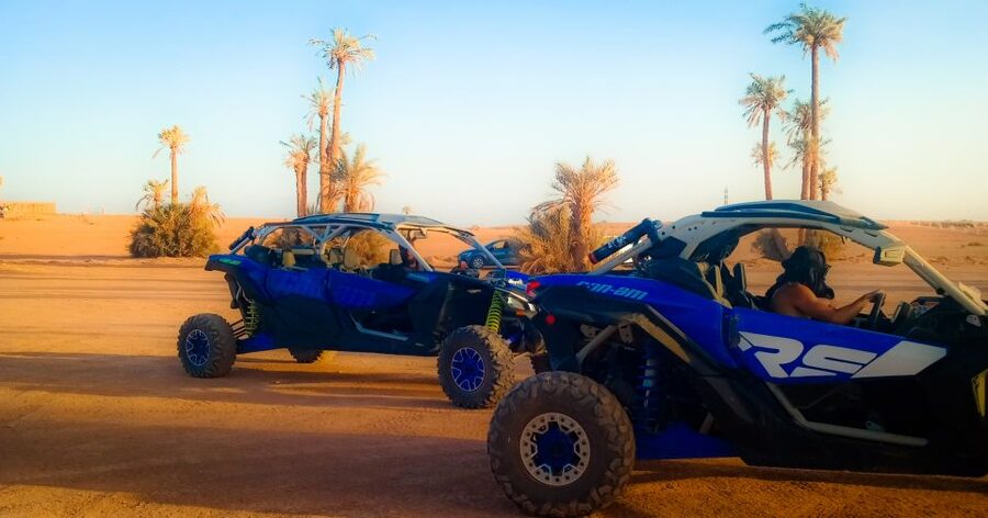 Marrakech: Private Palm Grove Camel and Quad Bike Ride - Sunset Slot: How to Get Great Photos Away From the Medina