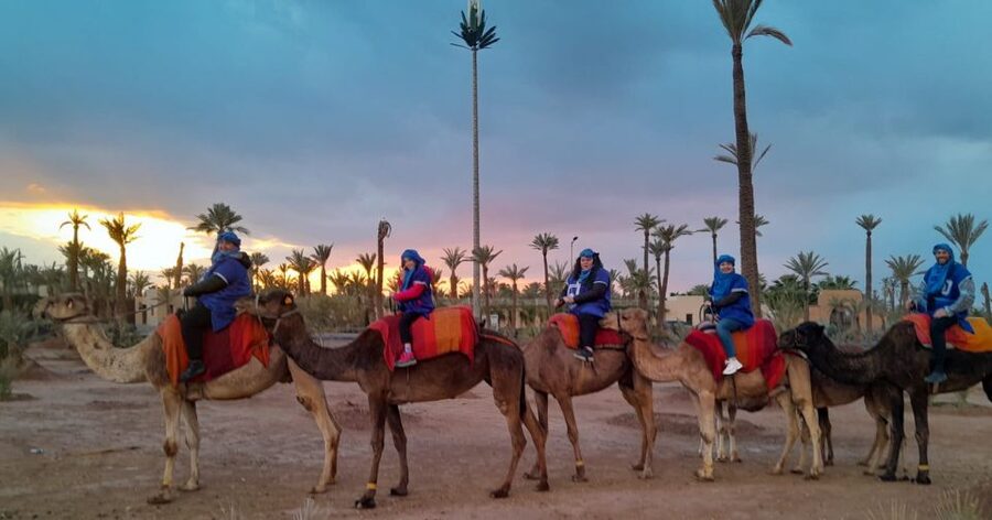 Marrakech: Private Palm Grove Camel and Quad Bike Ride - Transfers and Included Stops, What $58 Actually Covers