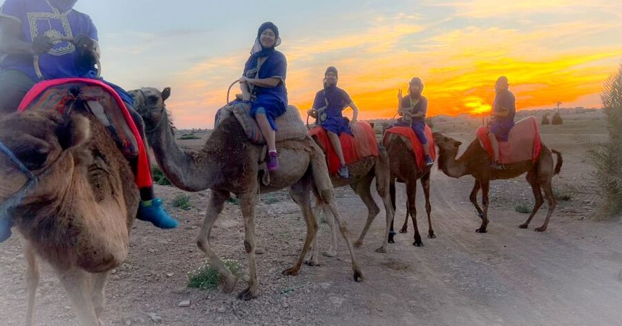Marrakech: Private Palm Grove Camel and Quad Bike Ride - Booking Provider Choice: Riad Nour Travel and Guide Care