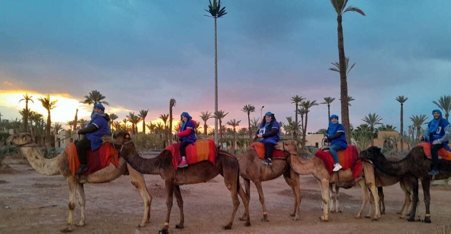 Marrakech: Private Palm Grove Camel and Quad Bike Ride - The Camel Ride Plus Quad Bike Timing That Works