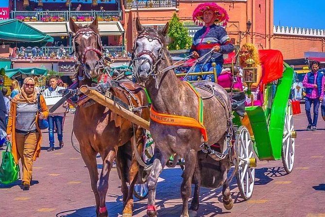 Marrakech Private Souks Tour: Exclusive Shopping Experience - Souk Semmarine: Local Guidance Where It Counts Most
