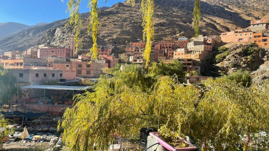 Marrakech : Private To Ourika Valley Atlas Mountains & Lunch - Argan Oil Secrets at a Women’s Cooperative