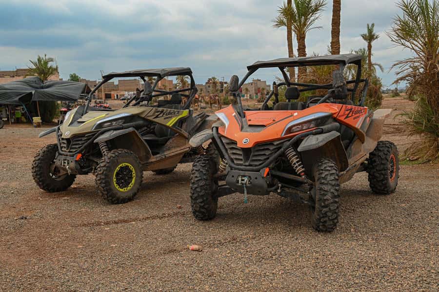 Marrakech: Quad bike adventure in the desert with views of the Palmeraie - Should you book the Marrakech Palmeraie quad adventure?
