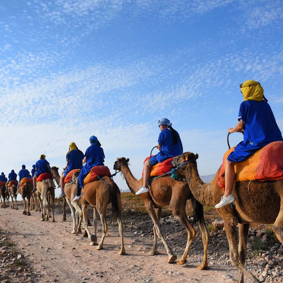 Marrakech: quad bike and Camel Ride in Marrakech - Key highlights you should care about