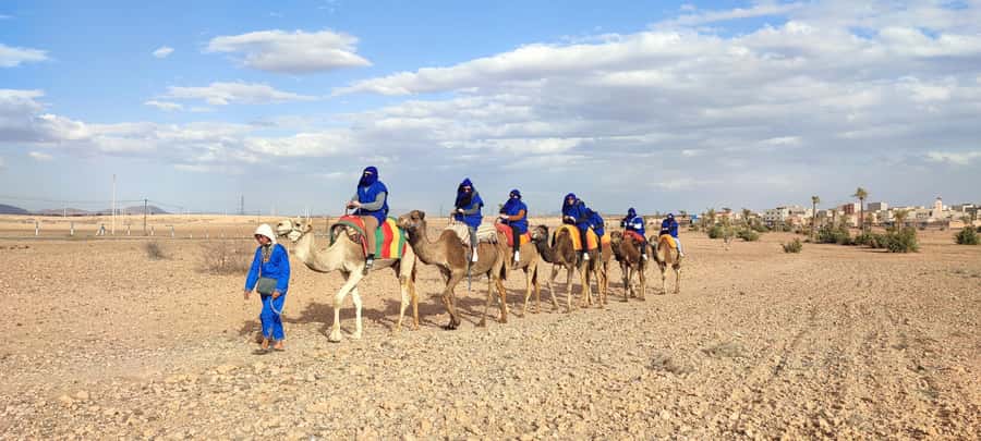 Marrakech: quad bike and Camel Ride in Marrakech - Quad bike and camel in the Palmeraie: what this tour really feels like