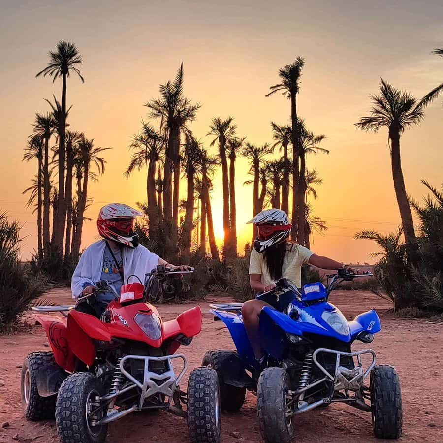 Marrakech: quad bike and Camel Ride in Marrakech - Getting picked up in Marrakesh, then straight into the palms