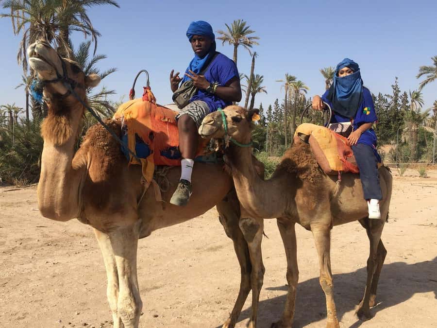 Marrakech: Quad Bike and Camel Ride Tour - Price and value: why $21 can feel like a steal