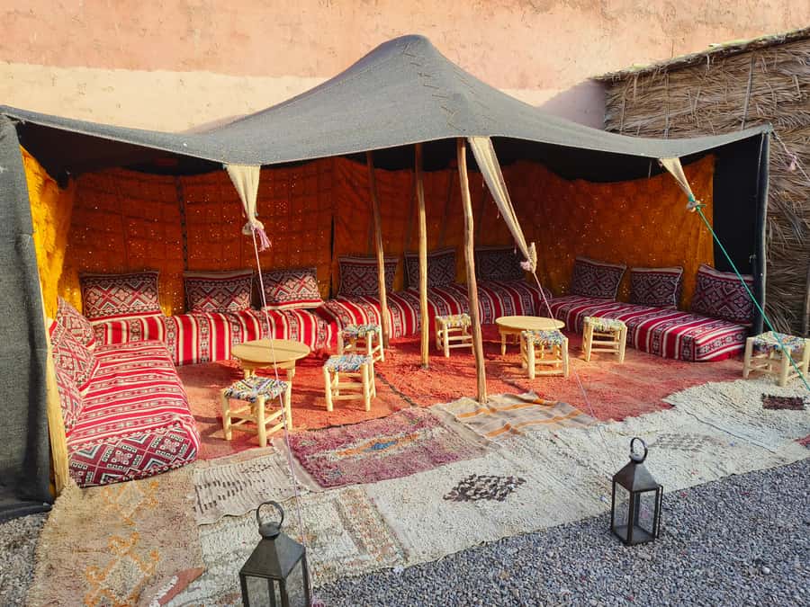 Marrakech: Quad Bike and Camel Ride Tour - Quad biking outside Marrakech: palm groves, villages, and mountain views