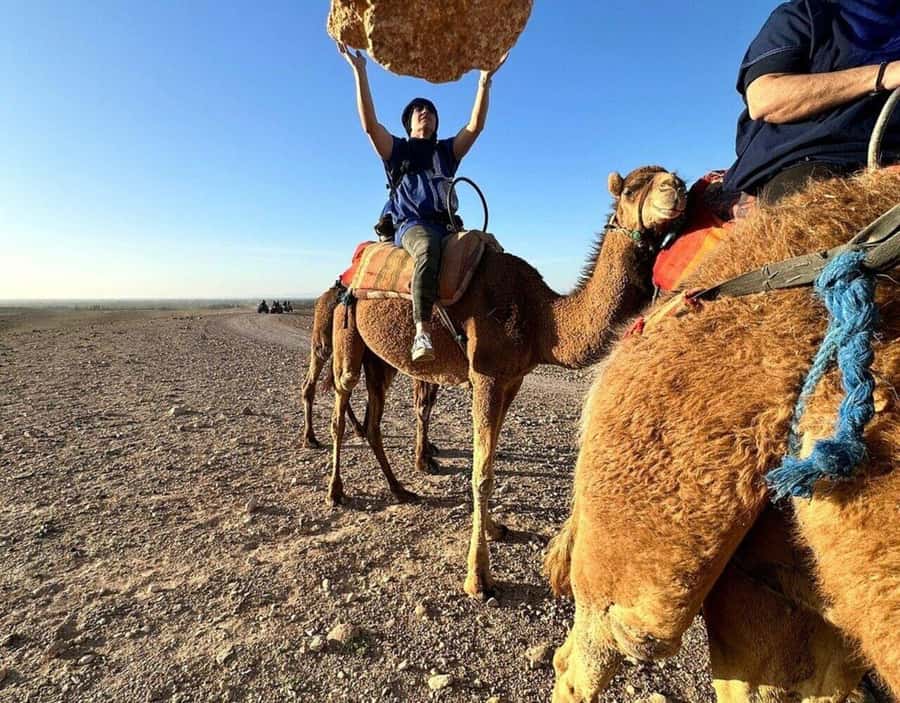 Marrakech : Quad Bike and Camel Ride with dinner in Agafay - Agafay Quad Ride: fun driving on rocky ground