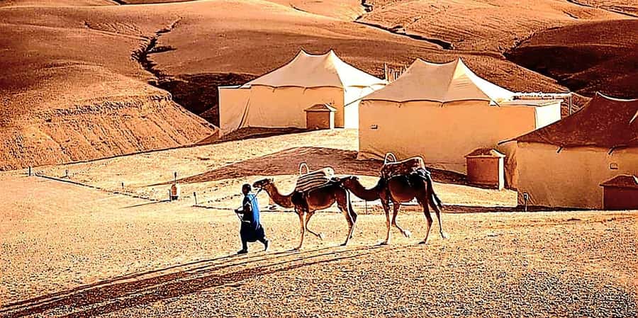 Marrakech : Quad Bike and Camel Ride with dinner in Agafay - Pickup, ride time, and how the 7 hours usually feel