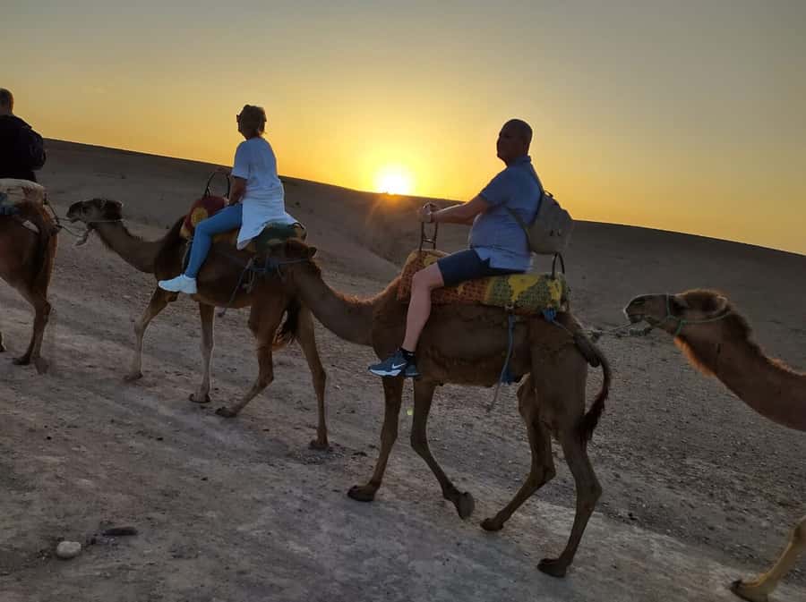 Marrakech: Quad Bike & Camel with dinner show & sunset - Key points worth knowing