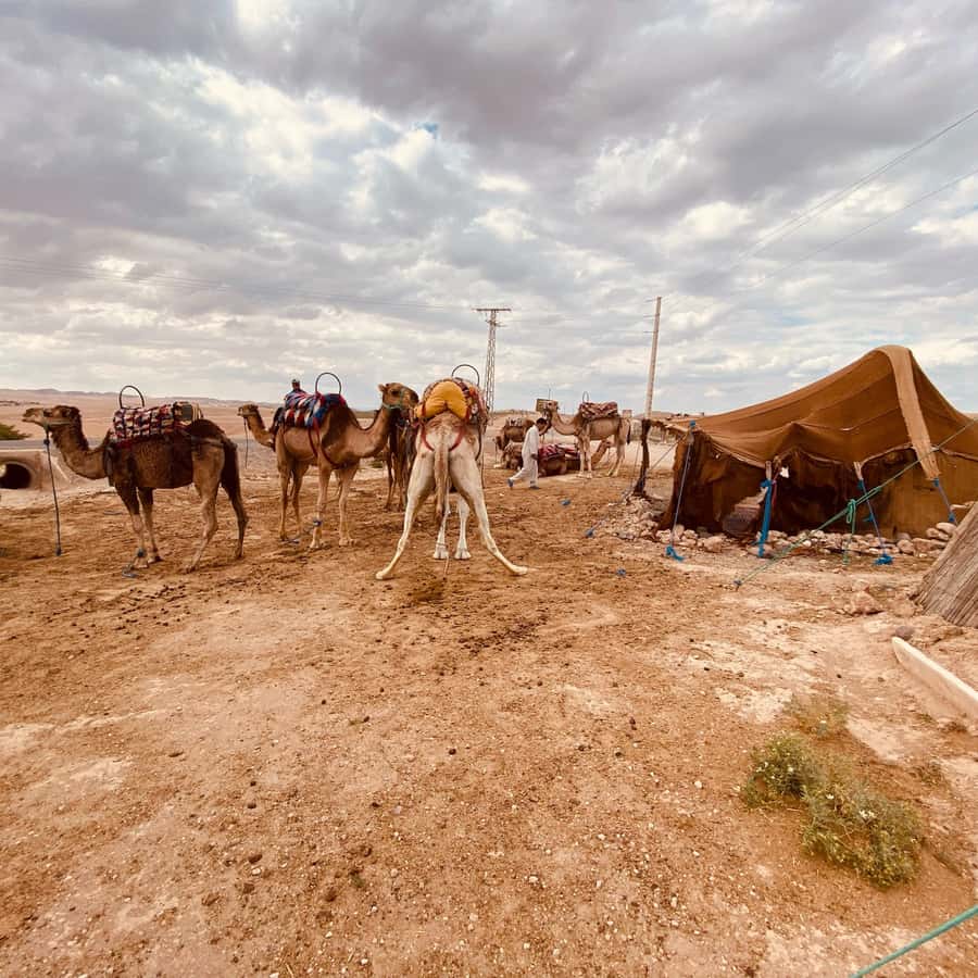 Marrakech: Quad Bike & Camel with dinner show & sunset - Getting from Marrakech to Agafay, and why the 4:00 PM pickup matters