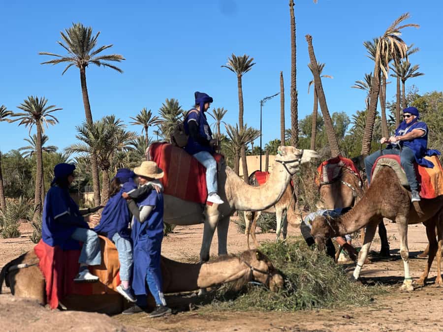 Marrakech: Quad Bike excursion at the sunset with Tea Break - How the Marrakech sunset quad experience actually feels