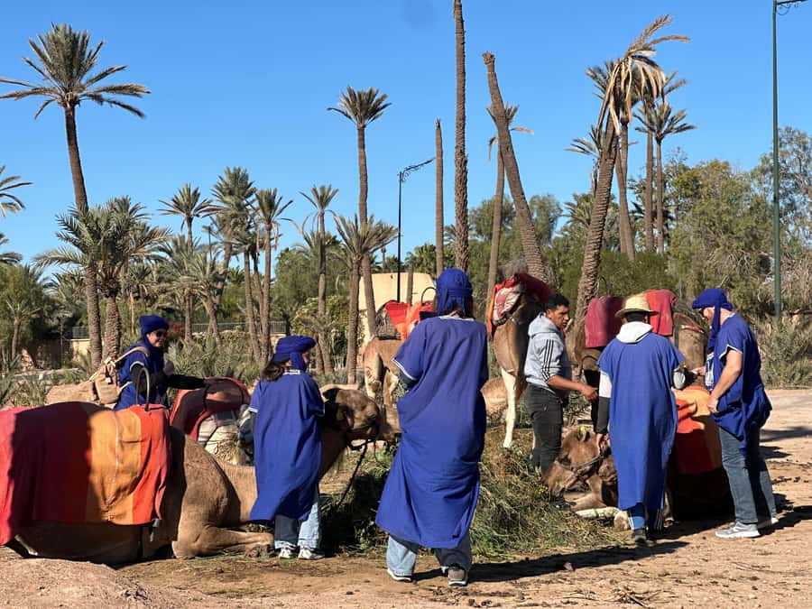 Marrakech: Quad Bike excursion at the sunset with Tea Break - The tea break in the Jbilet desert, where the trip turns from fun to memorable