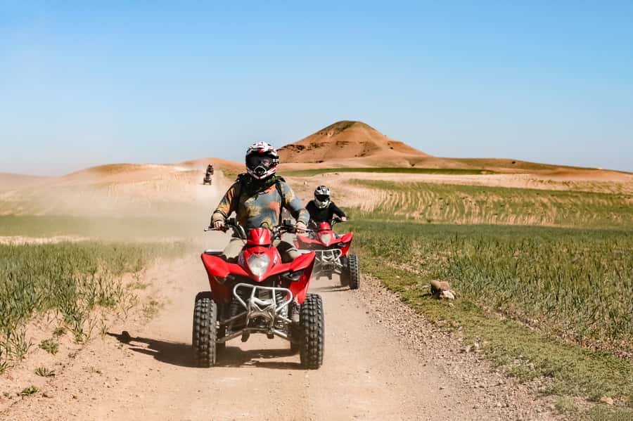 Marrakech Quad Bike Experience: Desert and Palmeraie - Price and value: why this often feels like a bargain
