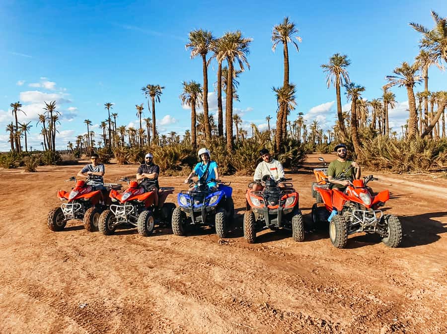 Marrakech: Quad Bike Tour to Palm Oasis and Jbilat Desert - Two Hours of Riding: Palm Groves, Golden Dunes, and Jbilat Desert