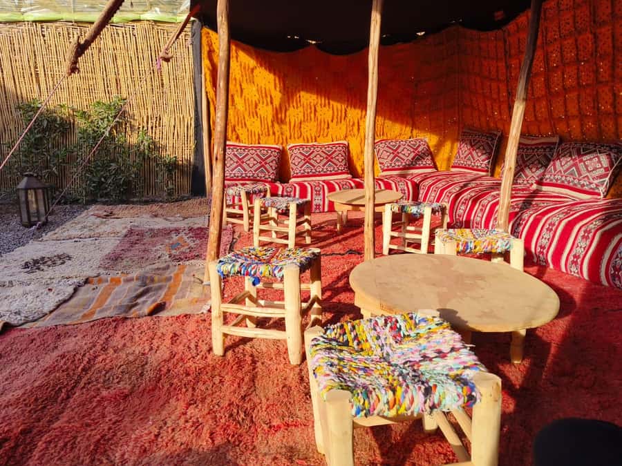 Marrakech: Quad Bike Tour to Palm Oasis and Jbilat Desert - Who This Tour Fits Best, and Who Might Want a Different Plan