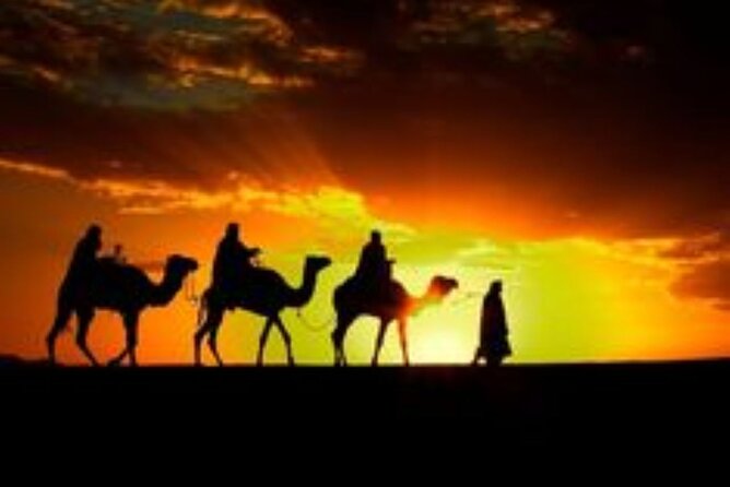 Marrakech: Quad & Camel Ride with Sunset, Dinner & Show - Key highlights worth your attention
