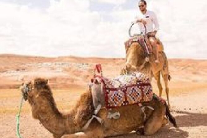 Marrakech: Quad & Camel Ride with Sunset, Dinner & Show - Camel ride plus sunset: The calm contrast that makes it worth it