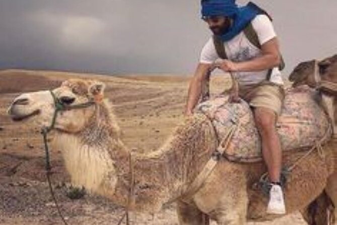Marrakech: Quad & Camel Ride with Sunset, Dinner & Show - Dinner and fire show: Eating well enough, then enjoying the night