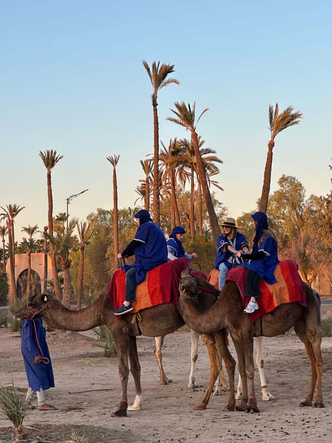 Marrakech:quad excursion at Jbilet desert with Moroccan tea - Key highlights worth your time