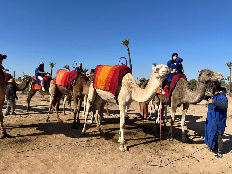 Marrakech:quad excursion at Jbilet desert with Moroccan tea - Quad Excursion in the Jbilet Desert: Why This Ride Works